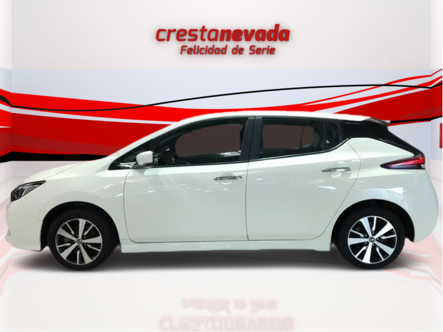 Imagen de NISSAN LEAF