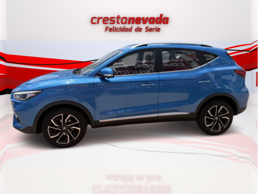 Imagen de Mg ZS