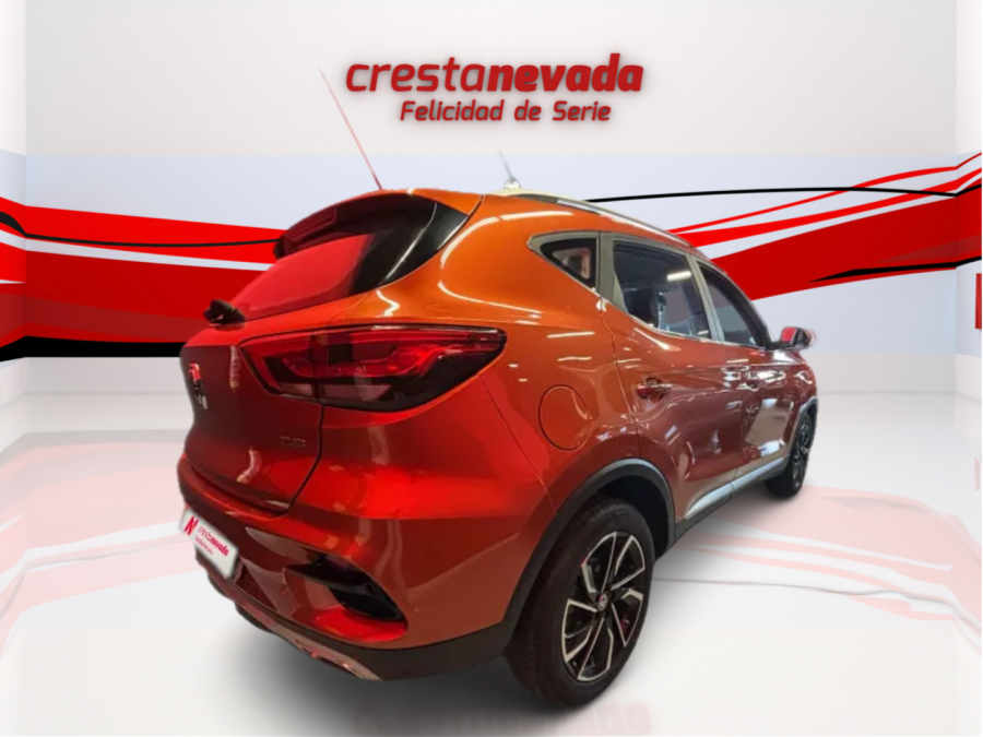 Imagen de Mg ZS