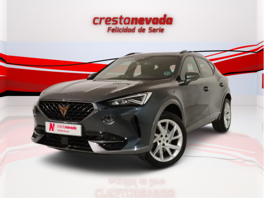 Imagen de cupra Formentor