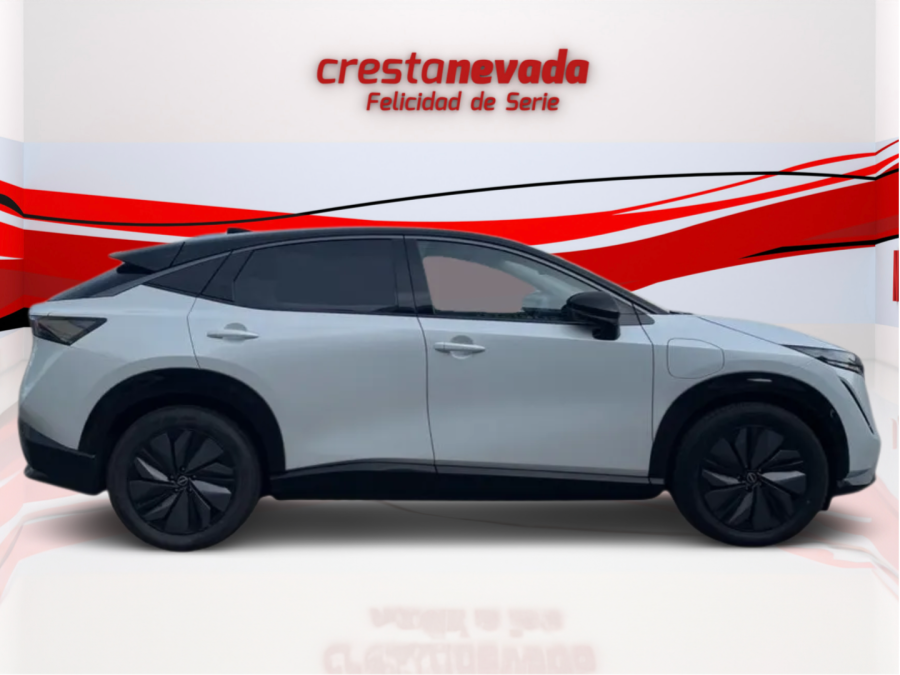 Imagen de NISSAN ARIYA