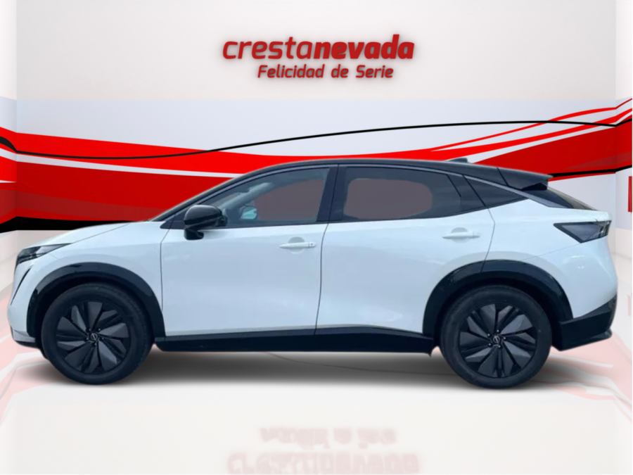 Imagen de NISSAN ARIYA