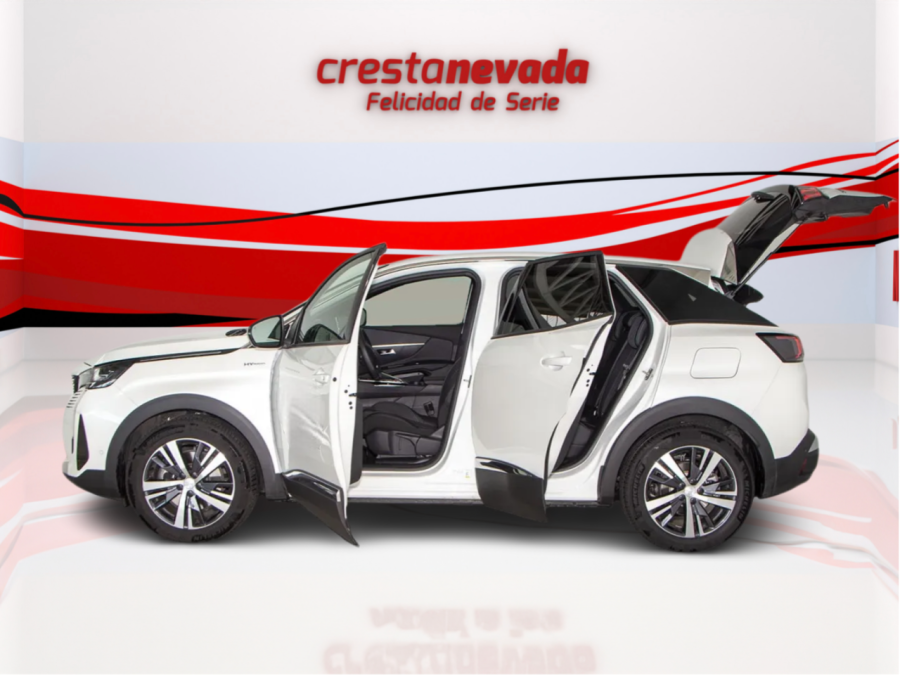 Imagen de Peugeot 3008