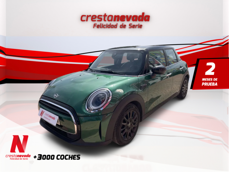 Mini Mini