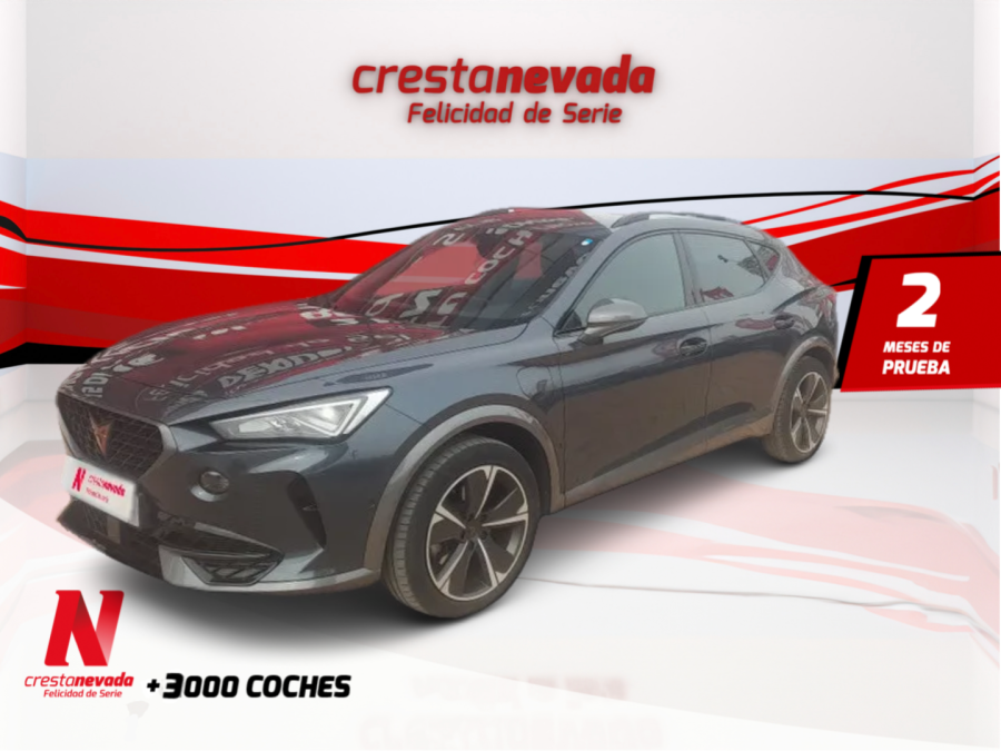 Imagen de cupra Formentor