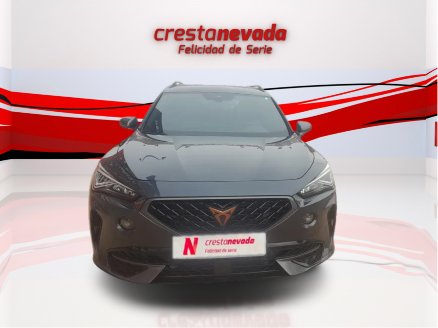 Imagen de cupra Formentor