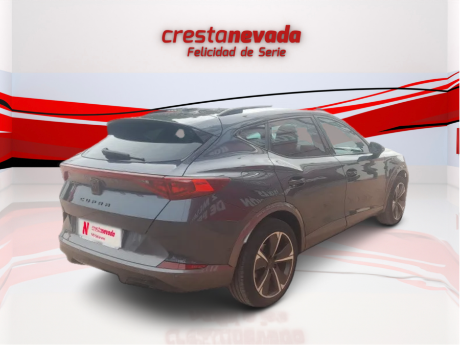 Imagen de cupra Formentor