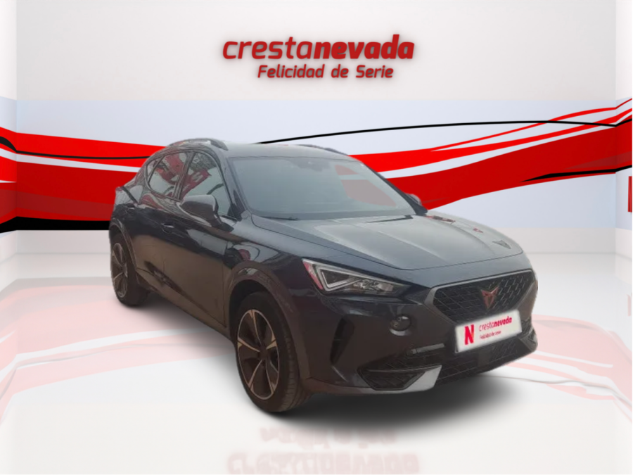 Imagen de cupra Formentor