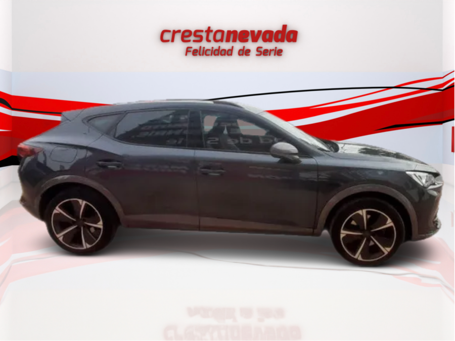 Imagen de cupra Formentor