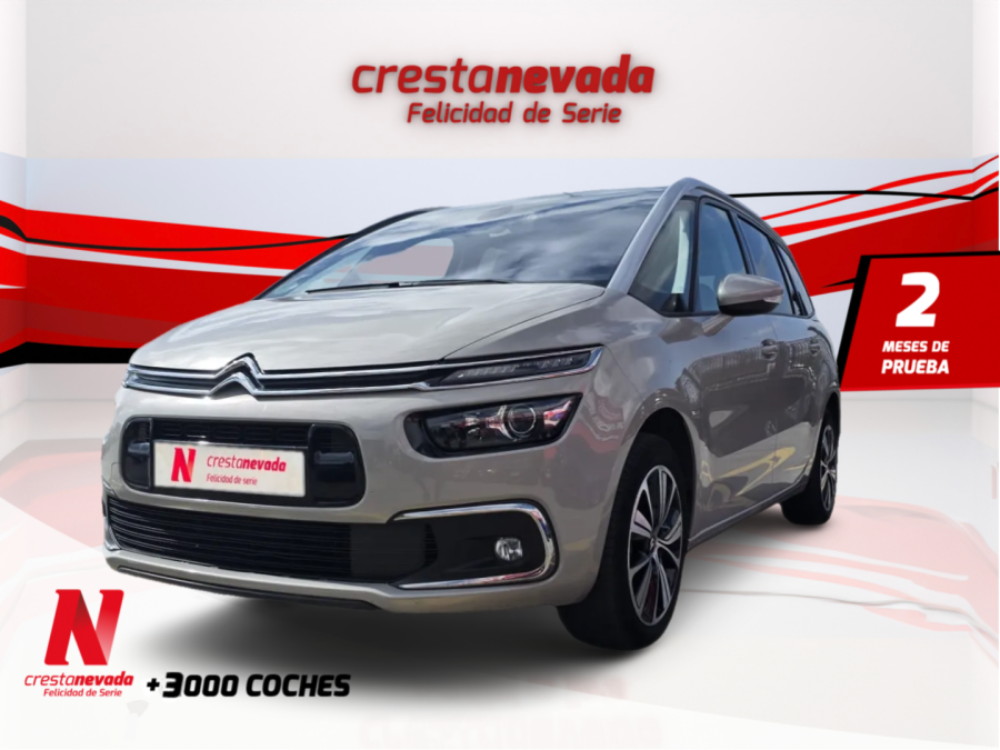 Imagen de CITROEN Grand C4 Picasso