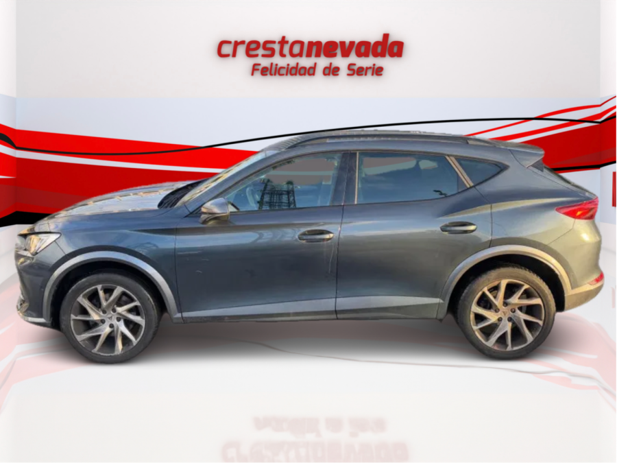 Imagen de cupra Formentor