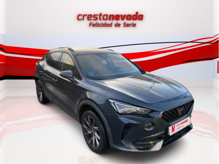 Imagen de cupra Formentor