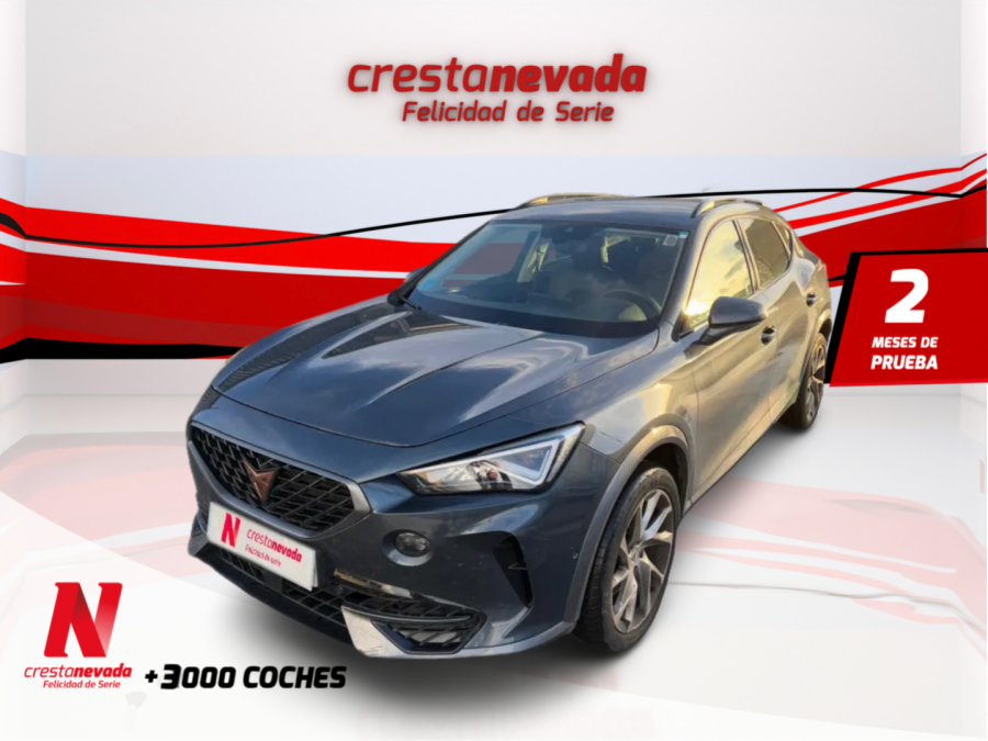 Imagen de cupra Formentor