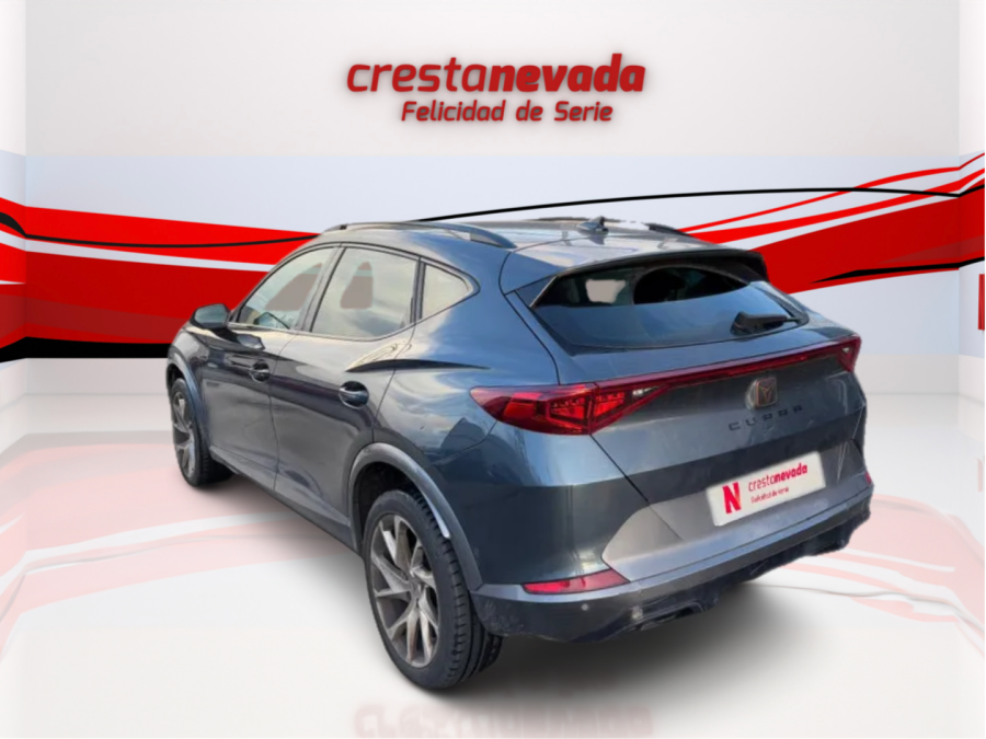 Imagen de cupra Formentor