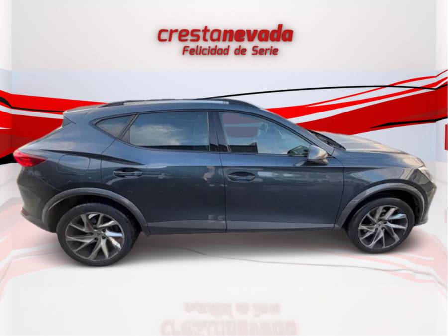 Imagen de cupra Formentor