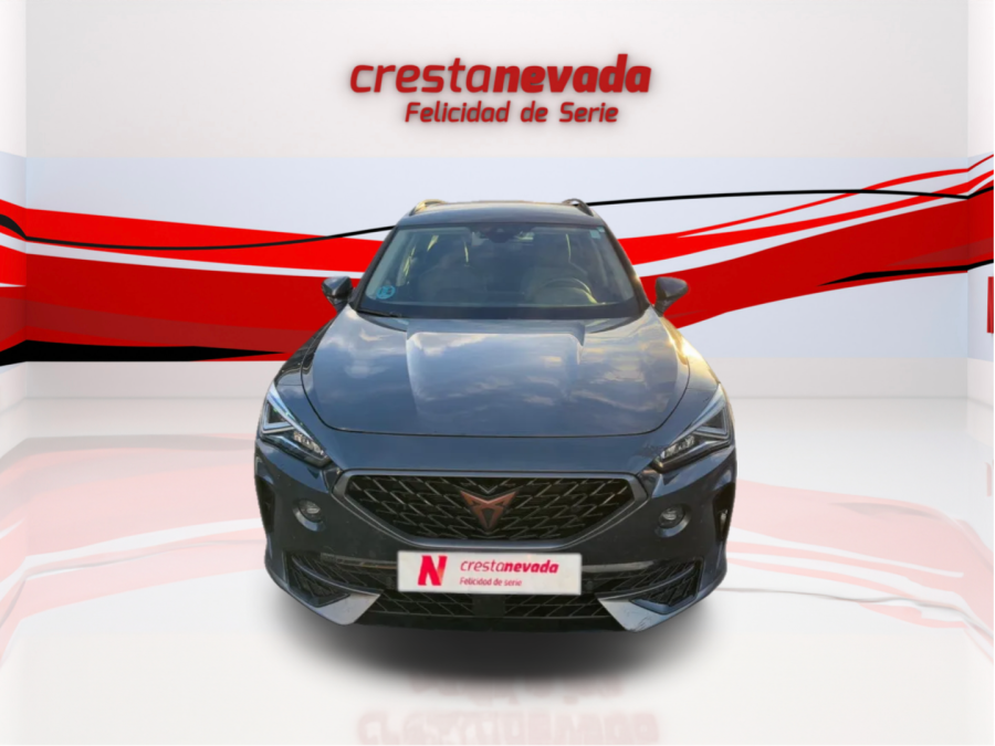 Imagen de cupra Formentor