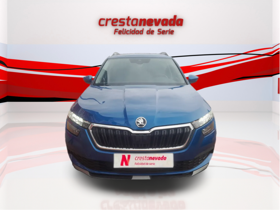 Imagen de Skoda Kamiq