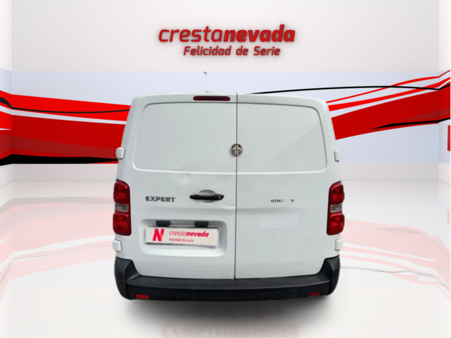 Imagen de Peugeot Expert