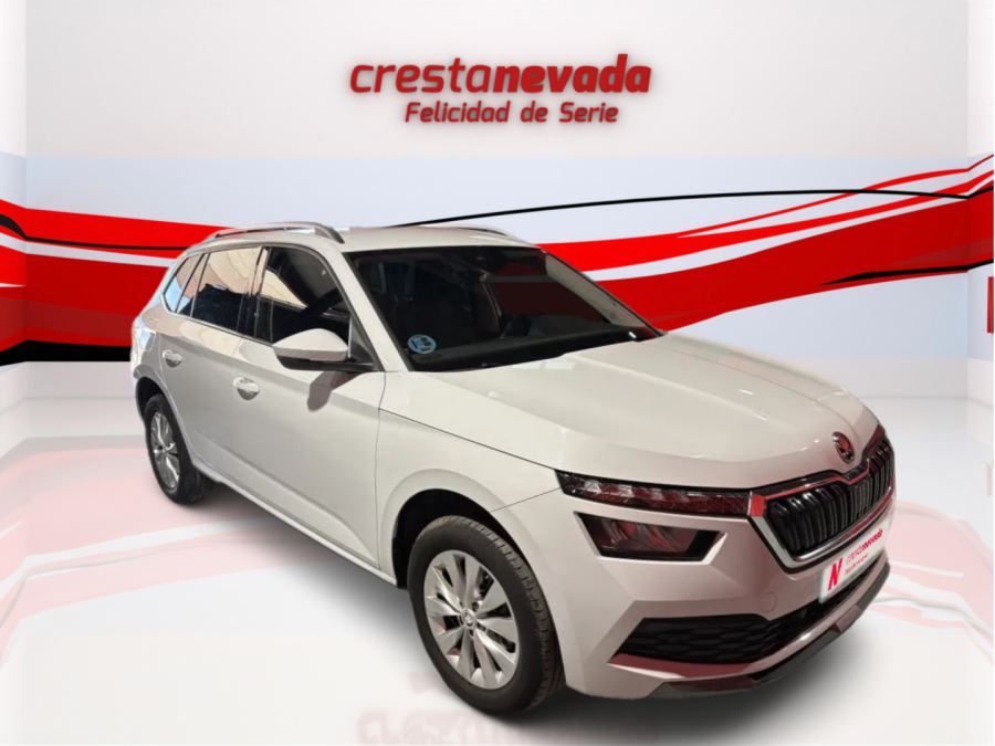 Imagen de Skoda Kamiq