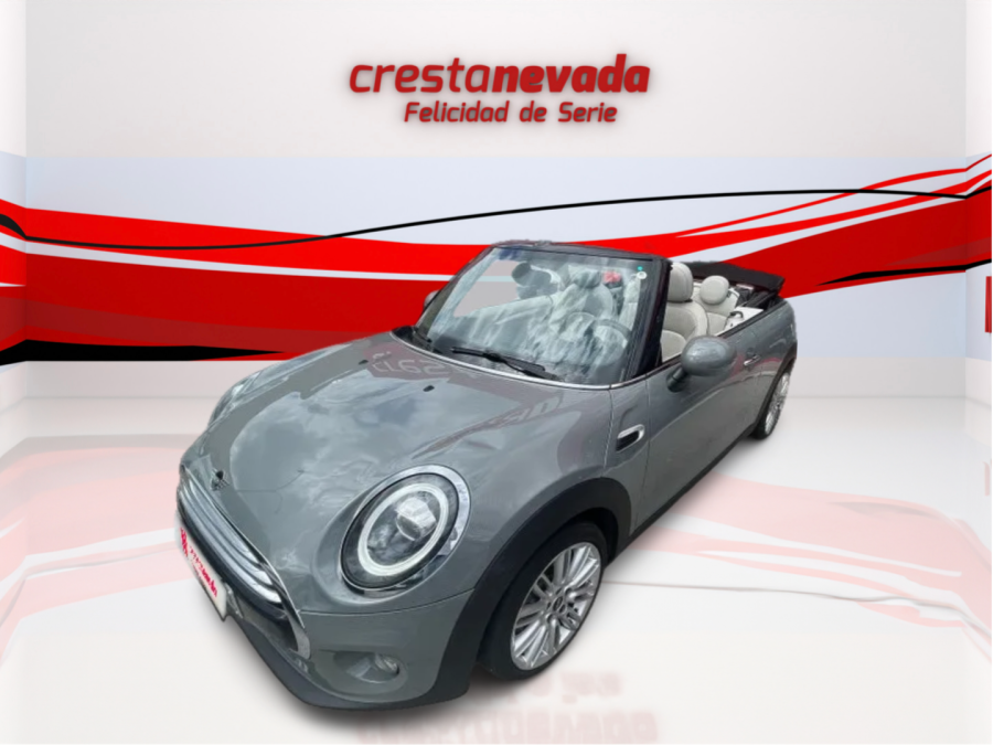 Imagen de Mini MINI