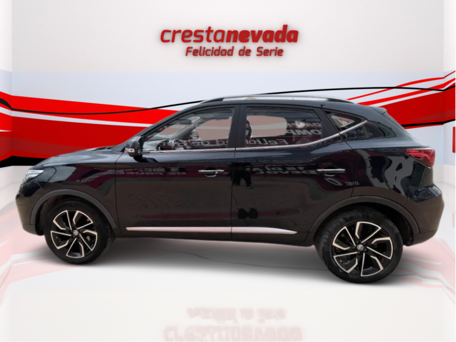 Imagen de Mg ZS