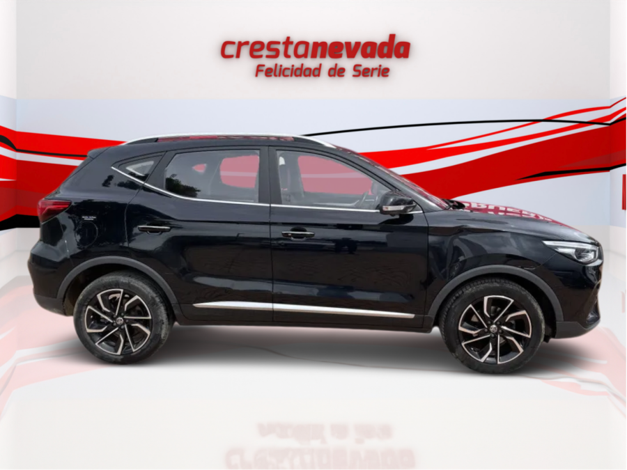 Imagen de Mg ZS