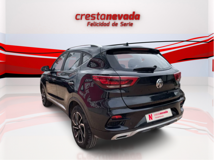 Imagen de Mg ZS