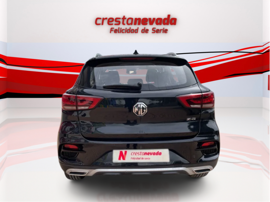 Imagen de Mg ZS