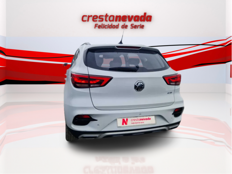 Imagen de Mg ZS