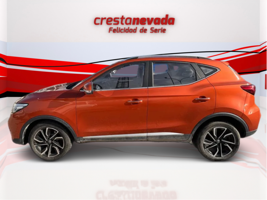 Imagen de Mg ZS