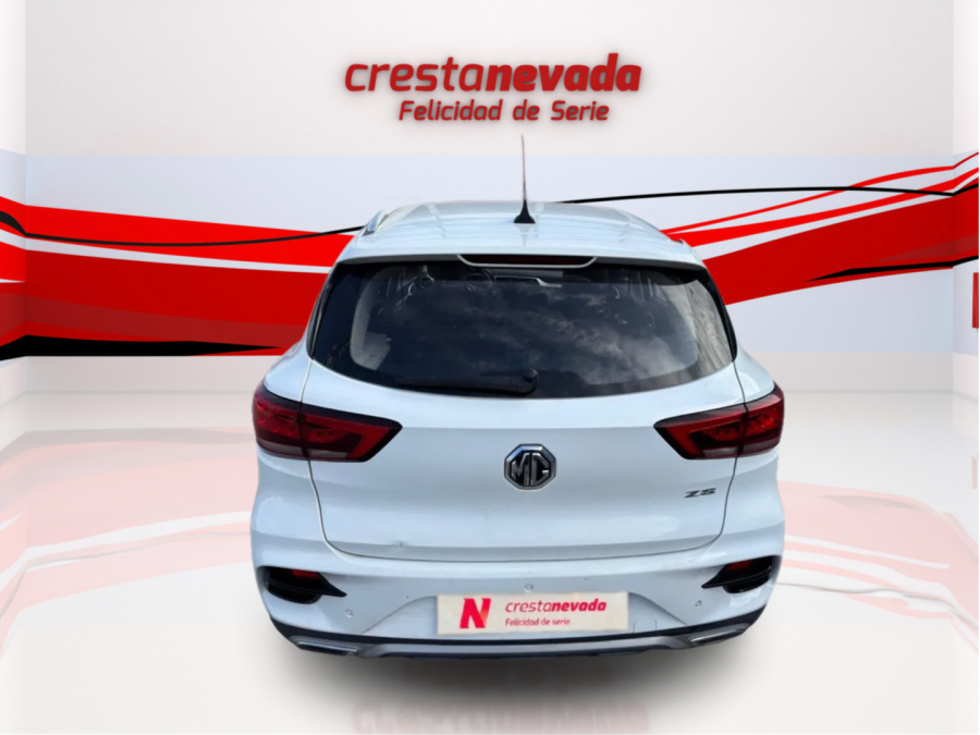 Imagen de Mg ZS