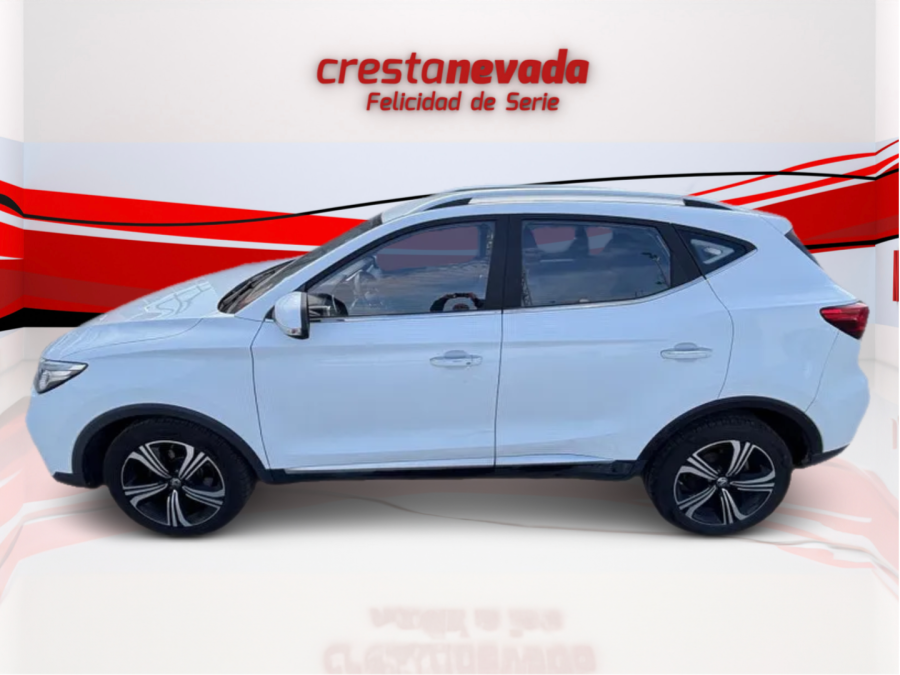Imagen de Mg ZS