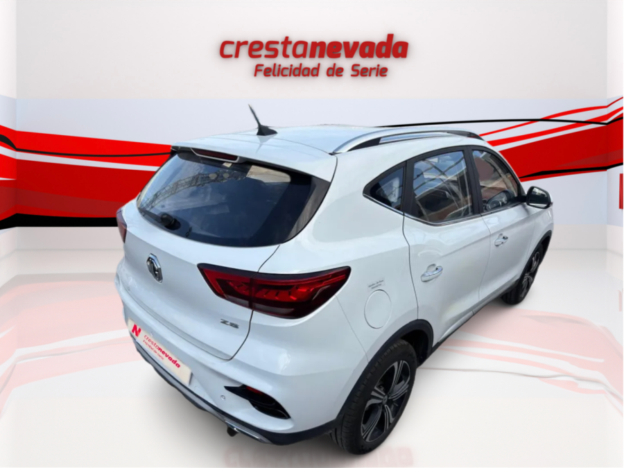 Imagen de Mg ZS
