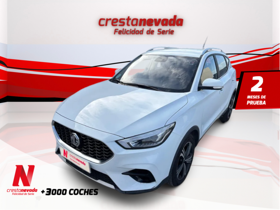 Imagen de Mg ZS