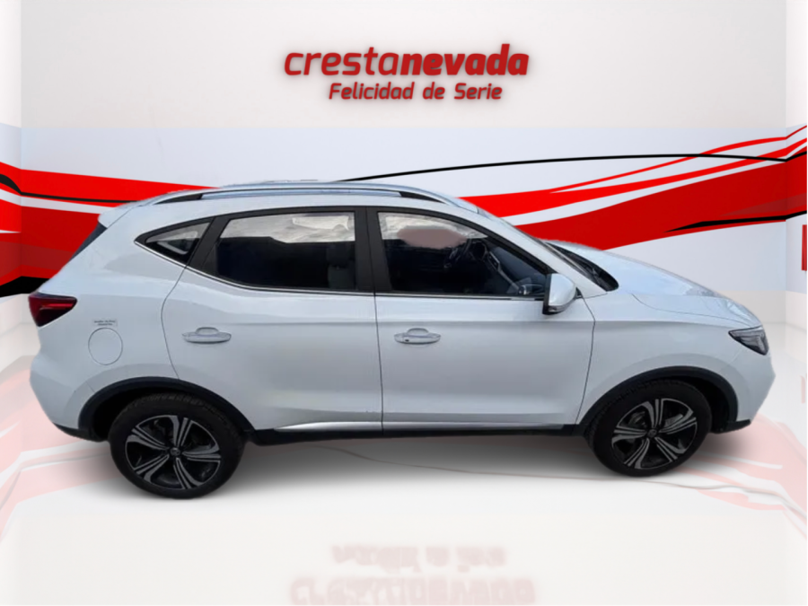 Imagen de Mg ZS