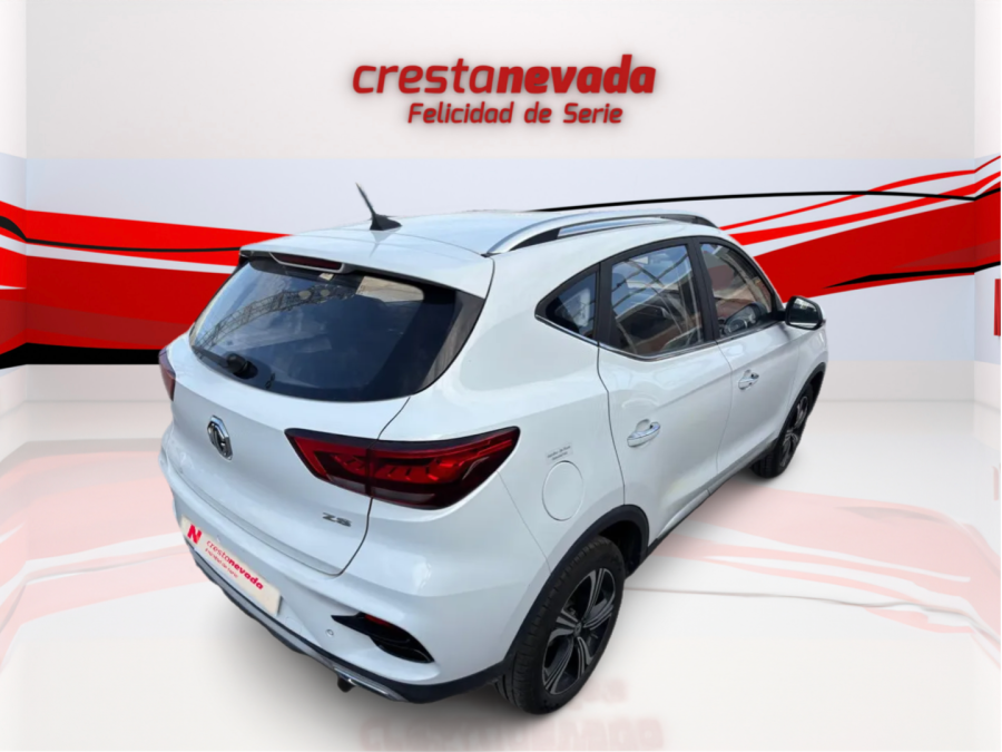 Imagen de Mg ZS