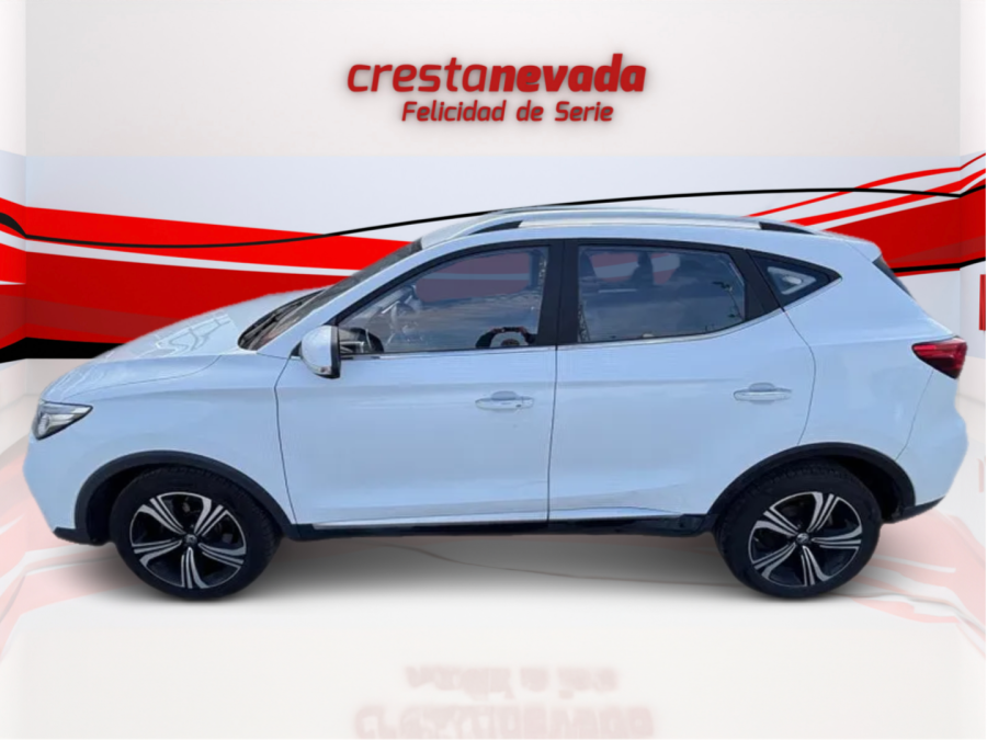 Imagen de Mg ZS