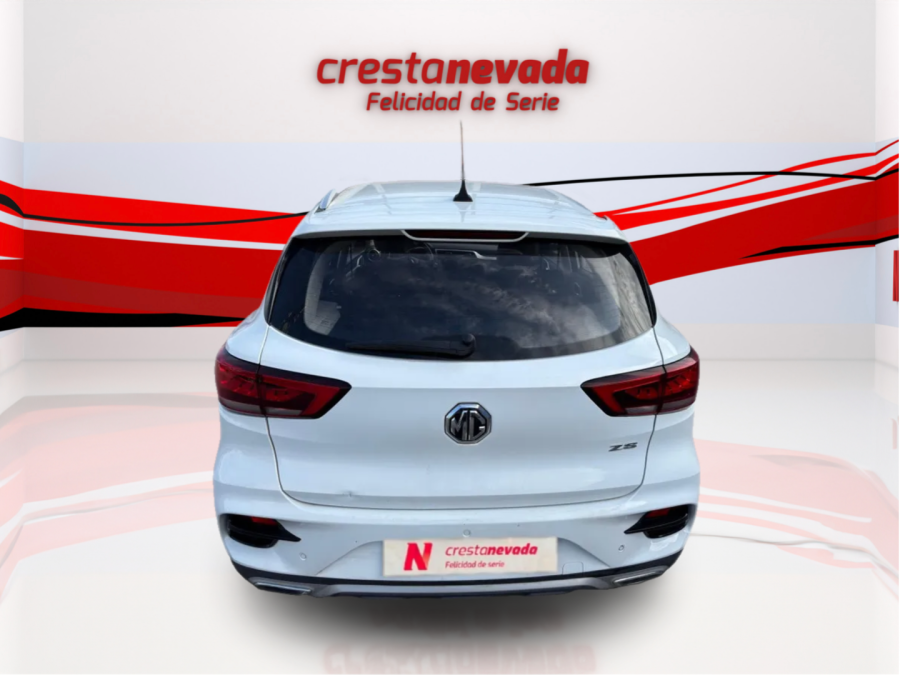 Imagen de Mg ZS
