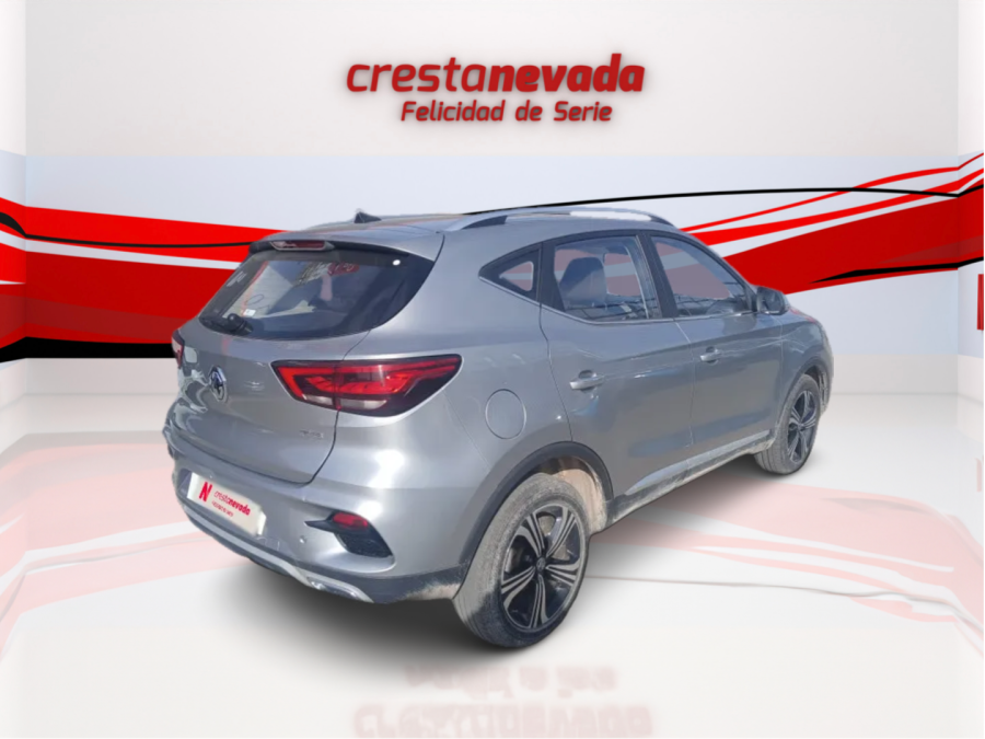 Imagen de Mg ZS