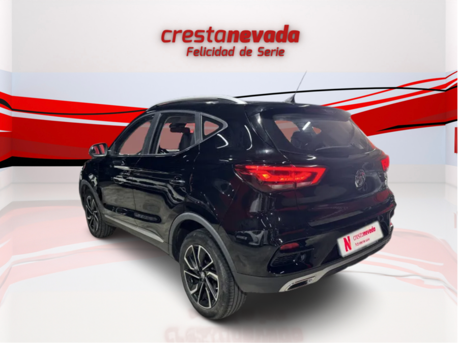 Imagen de Mg ZS