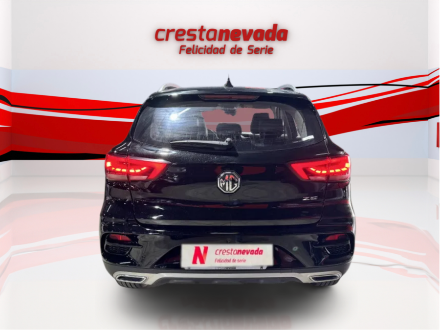 Imagen de Mg ZS