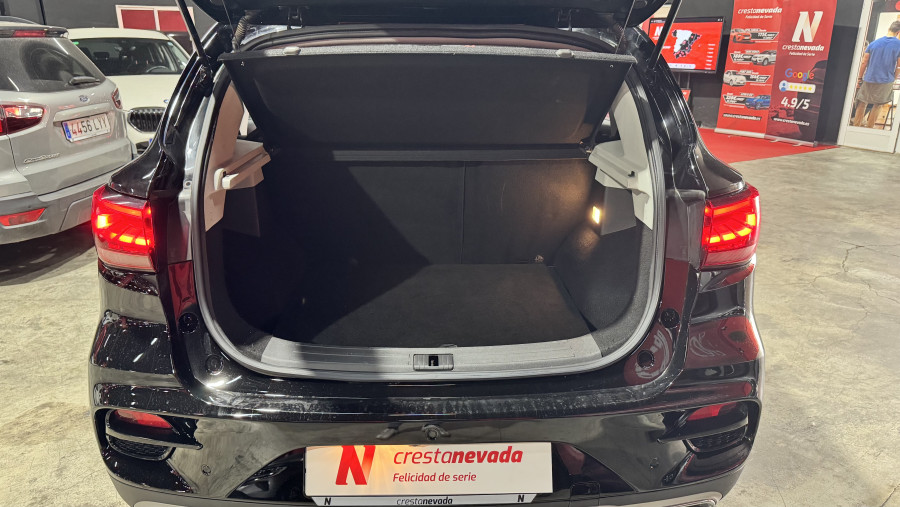 Imagen de Mg ZS