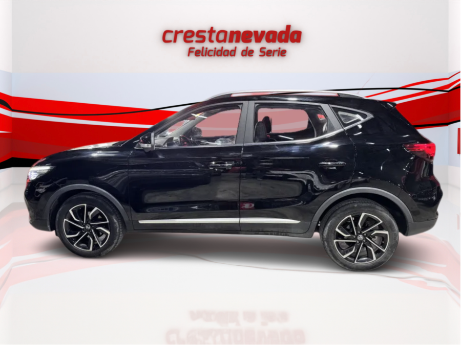 Imagen de Mg ZS