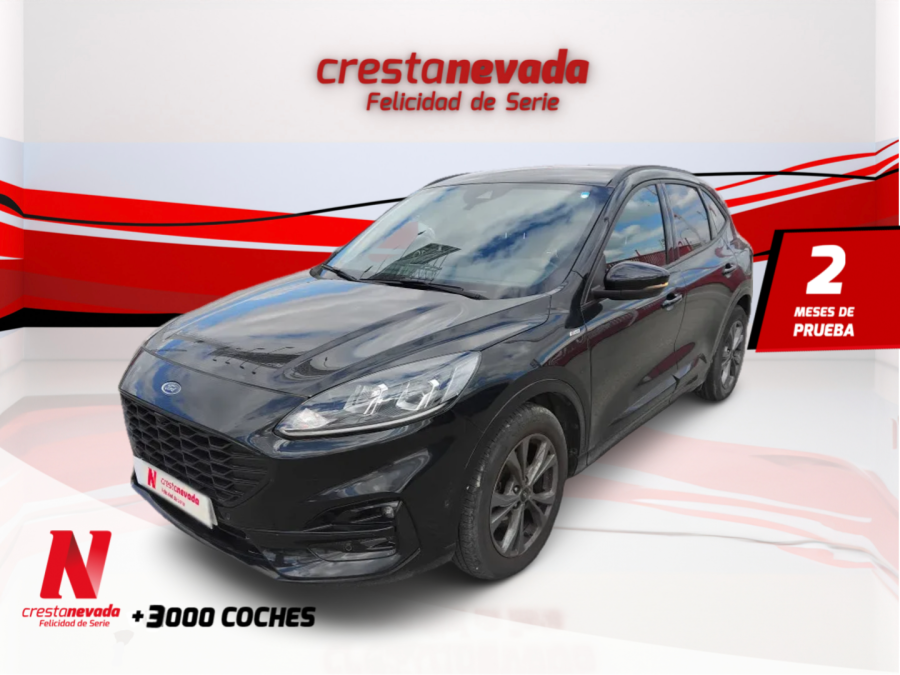 Imagen de Ford Kuga
