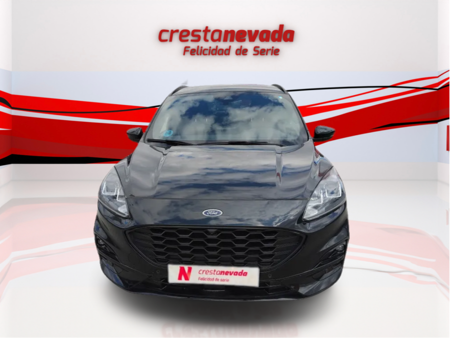 Imagen de Ford Kuga