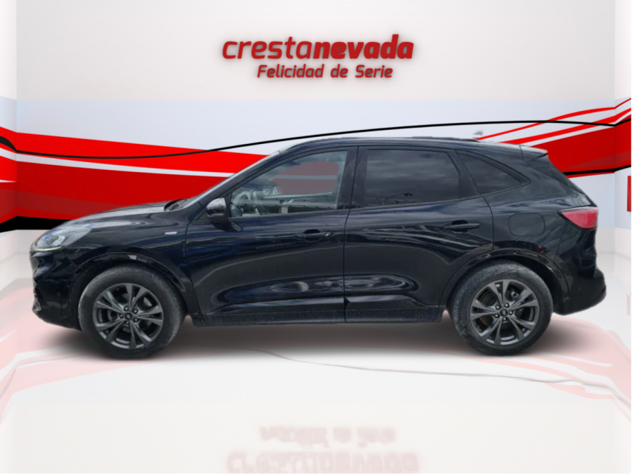 Imagen de Ford Kuga