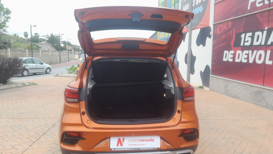 Imagen de Mg ZS