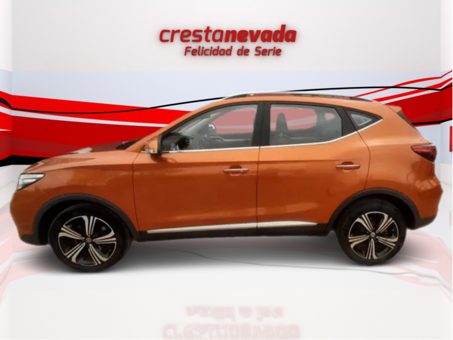 Imagen de Mg ZS