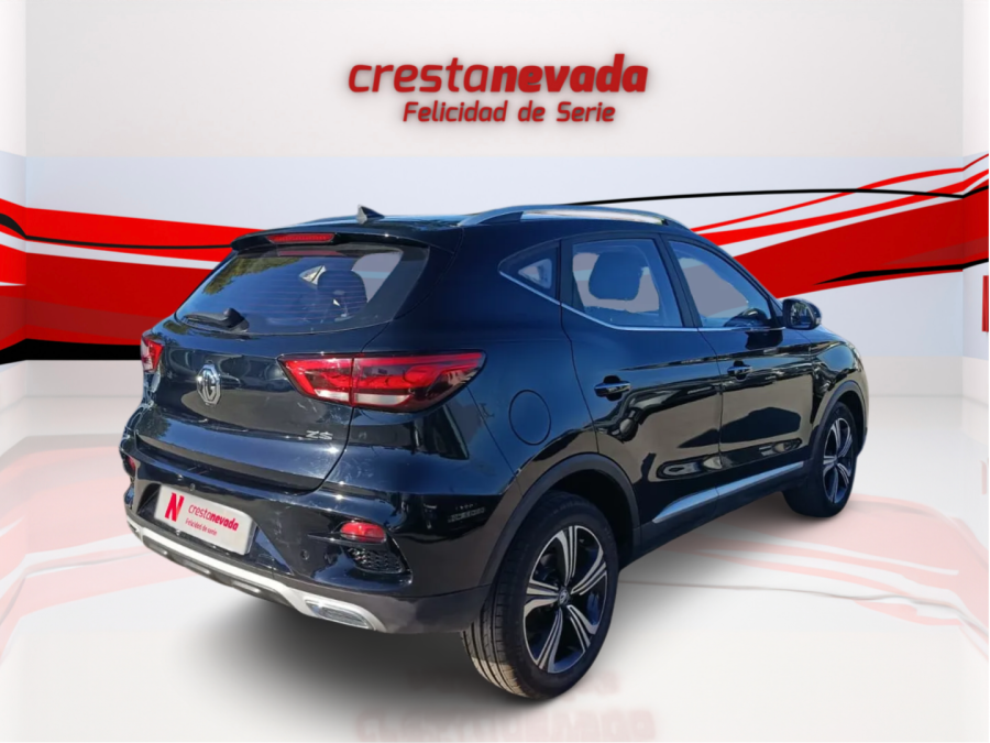 Imagen de Mg ZS