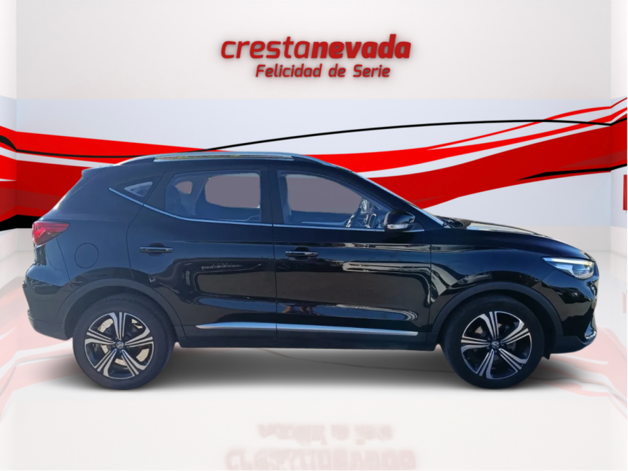 Imagen de Mg ZS